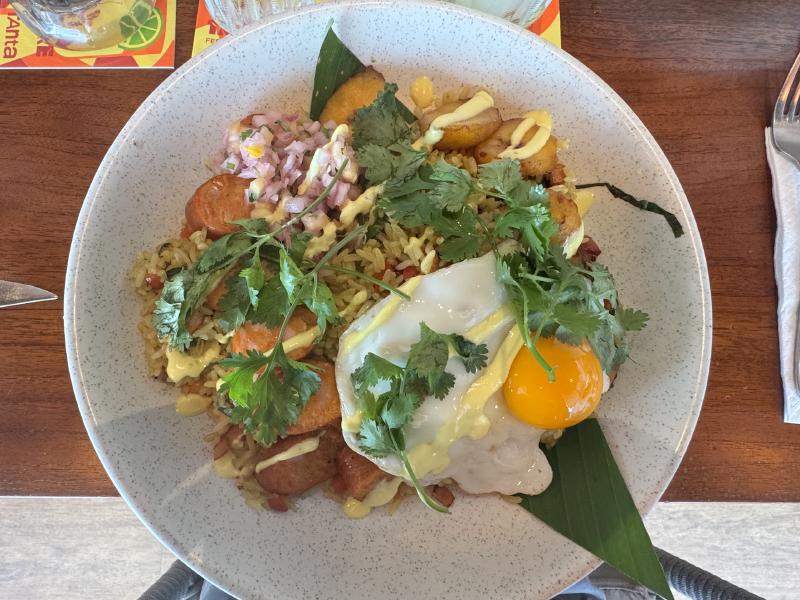 Plate of Amazonian fried rice