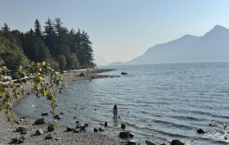 Camille wading into calm water off a rocky beach, with evergreen trees on the shore and hazy mountains across the sound